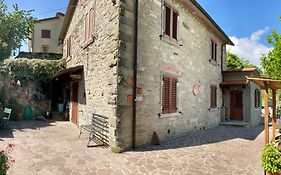 Villa Elisabetta